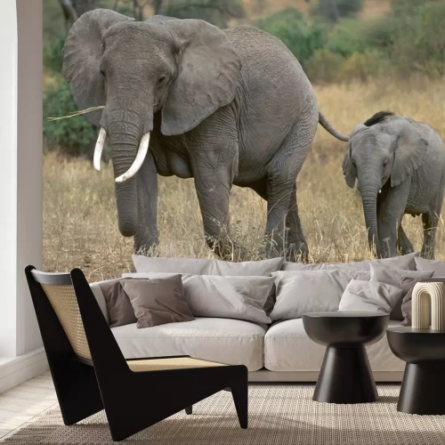 Sticker Elefant und Elefantenbaby