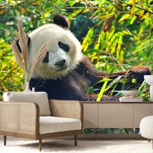 Sticker Hungry Riesenpandabären, der Bambus