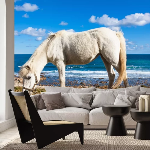 Fototapete Pferd mit strand im hintergrund