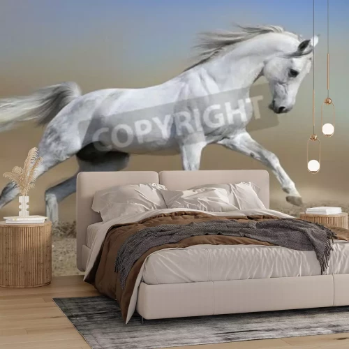 Fototapete Im staub laufendes pferd