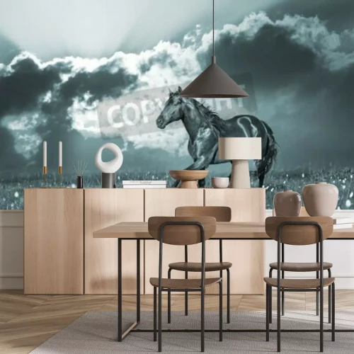 Fototapete Hengst im sonnenschein