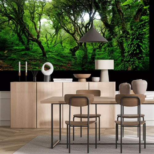 Fototapete Dschungel Bäume und Lianen