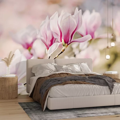 Sticker Foto von blühenden Magnolien