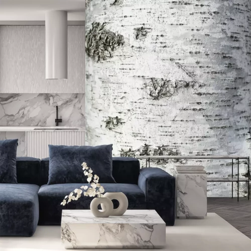 Fototapete Sanfte Textur von weißer Birke