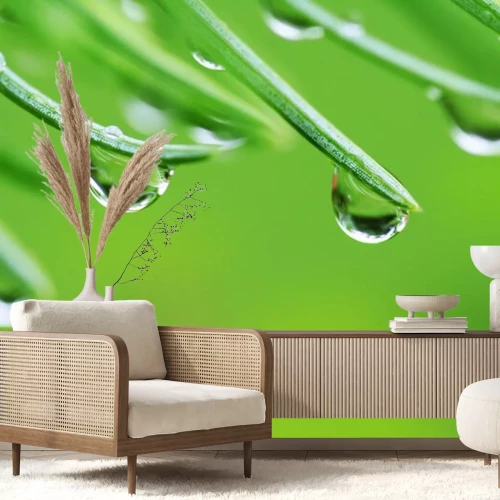 Sticker Regen fällt auf Kiefernnadeln