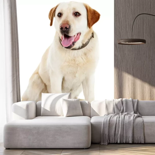 Sticker Hund mit braunen Ohren