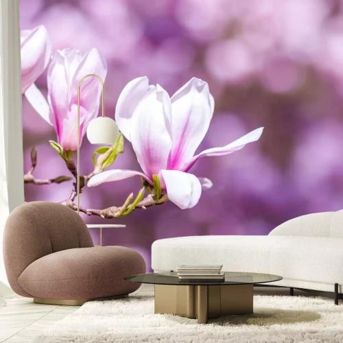 Sticker Magnolie auf einem Hintergrund aus anderen Blumen