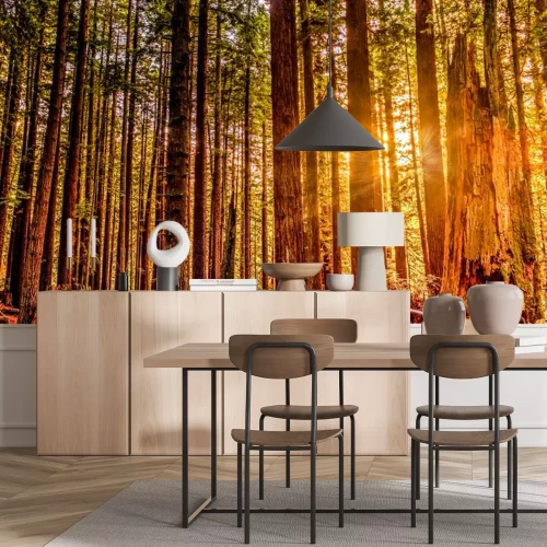 Sticker Redwood Sun.