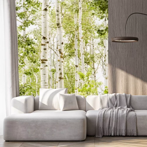 Fototapete Heller Wald mit Birken