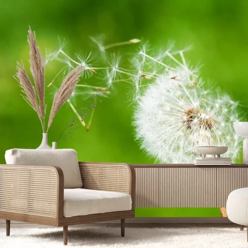 Fototapete Pusteblume Natur