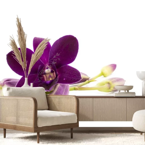 Sticker Dunkelviolette Orchidee auf weißem Hintergrund