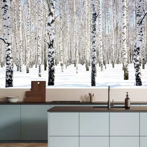 Fototapete Birken und Schnee