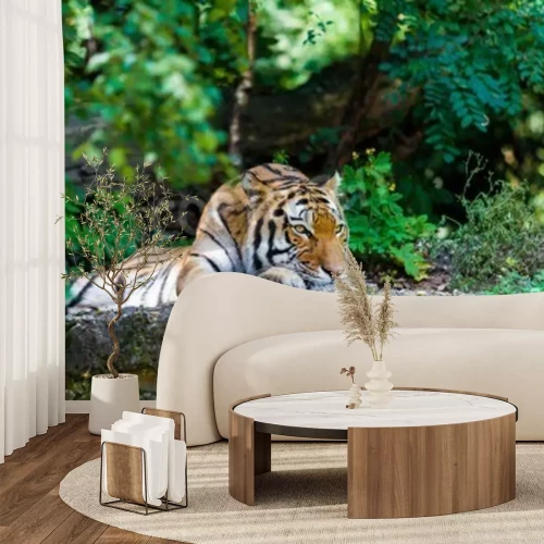 Fototapete Der sich auf felsen ausruhende tiger