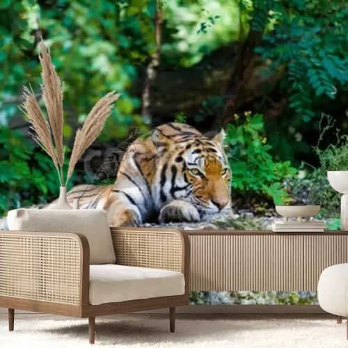 Fototapete Der sich auf felsen ausruhende tiger