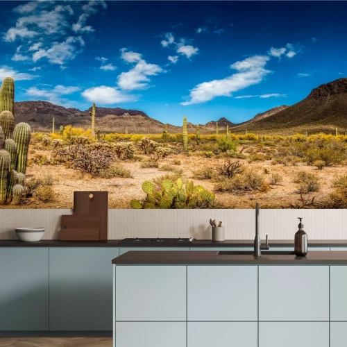 Fototapete Arizona-Wüste Ladscape