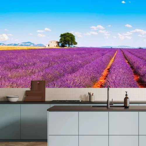 Sticker Lavendelfelder in der Provence