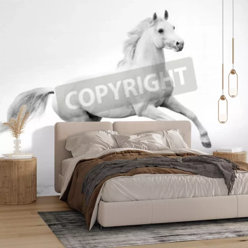 Fototapete Weißpferd im galopp
