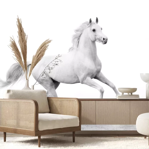 Fototapete Weißpferd im galopp