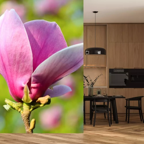 Sticker Nahaufnahme einer rosa Magnolienknospe