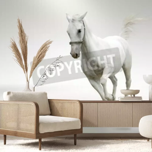 Fototapete Laufendes pferd auf weißem hintergrund