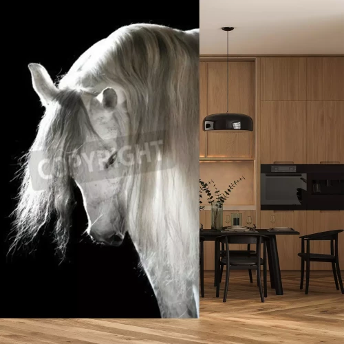 Fototapete Pferd mit üppiger mähne