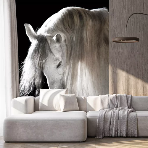 Fototapete Pferd mit üppiger mähne