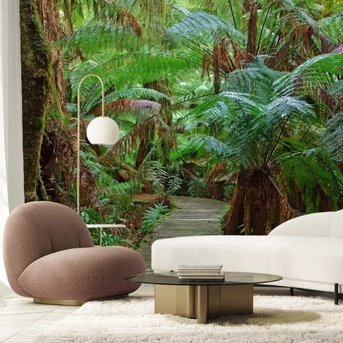 Fototapete Pfad durch den australischen Dschungel