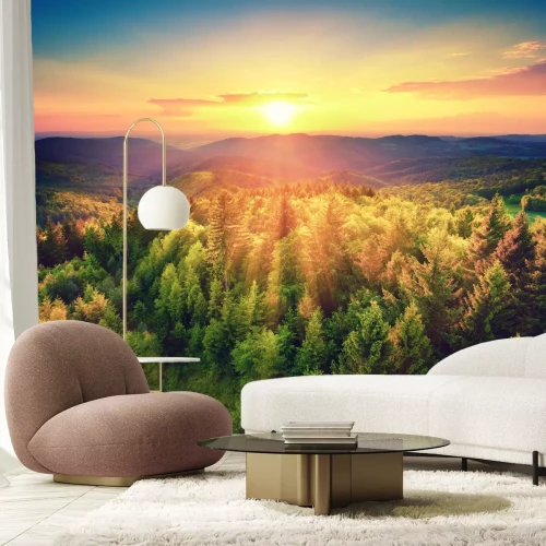 Fototapete Sonnenaufgang grüner Wald