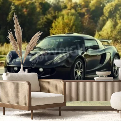 Fototapete Schwarzer Sportwagen und Natur