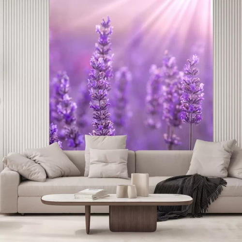 Fototapete Nahaufnahme von Lavendelblüten