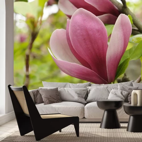 Sticker Nahaufnahme von Magnolienblättern