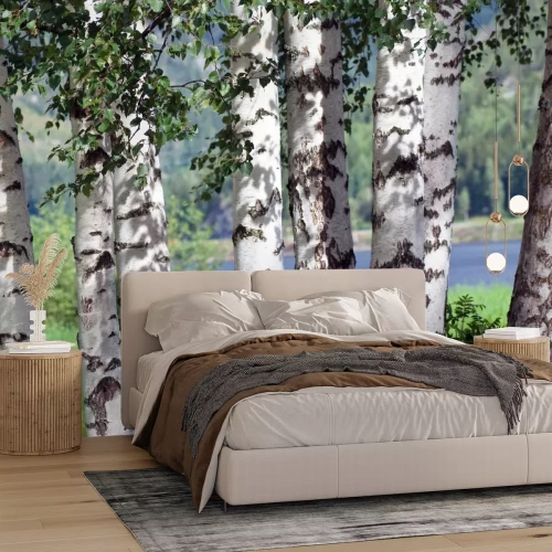 Fototapete Birken am Wasser