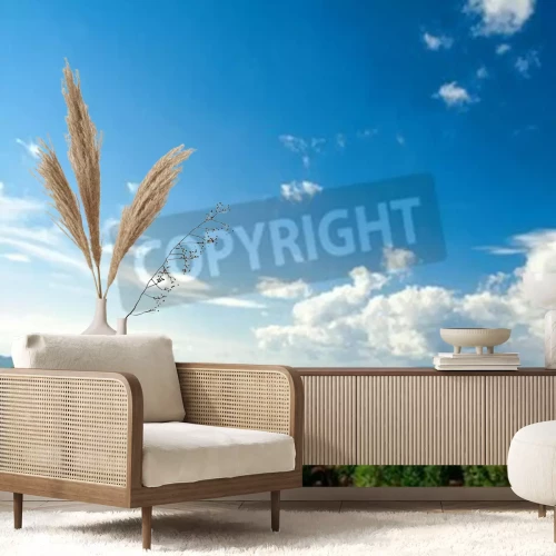 Fototapete Himmel über Kiefernwald