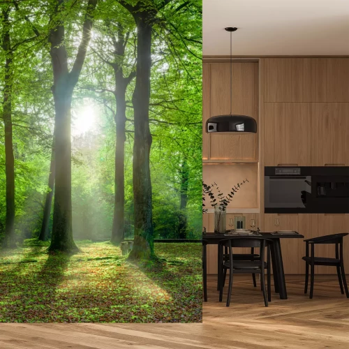 Sticker Grüner Wald im Sommer mit Gegenlicht