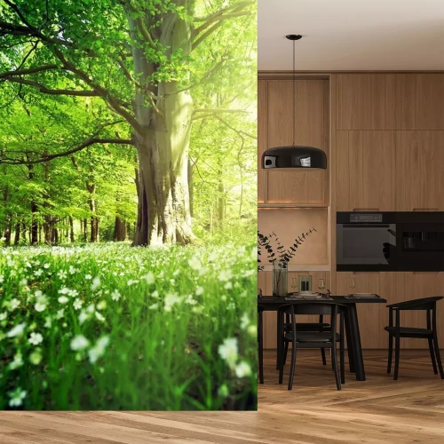 Fototapete Ein frühlingshafter Laubwald voller frischem Grün