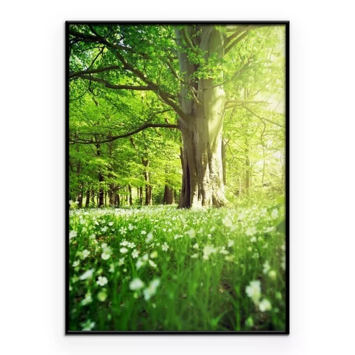 Poster Ein frühlingshafter Laubwald voller frischem Grün