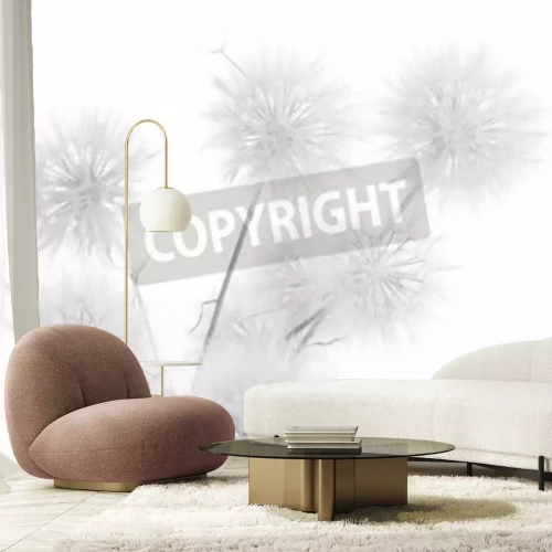 Fototapete Pusteblumen in einer minimalistischen Komposition