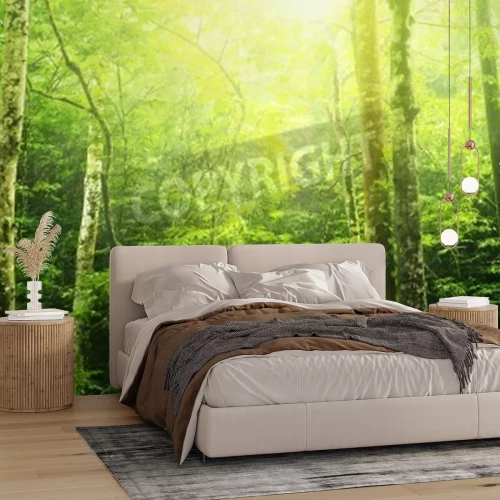 Fototapete Dschungel voller Sonne und Palmen