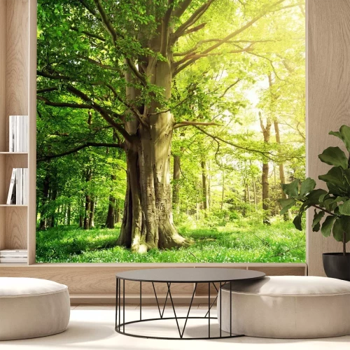 Fototapete Alter Baum und Grün