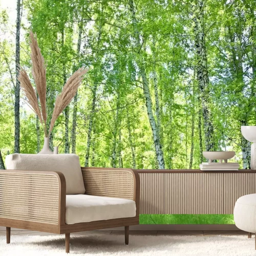 Fototapete Birkenwald