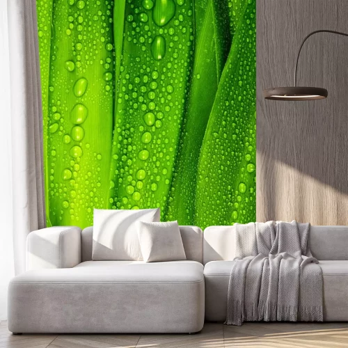 Sticker Tautropfen auf grünem Gras