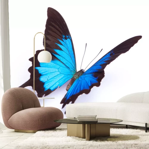 Sticker Darstellung eines blauen Schmetterlings