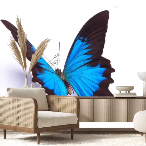 Sticker 3D-Schmetterling auf weißem Hintergrund