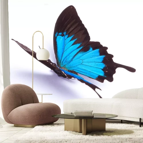 Sticker herrschaftlicher Schmetterling vor hellem Hintergrund