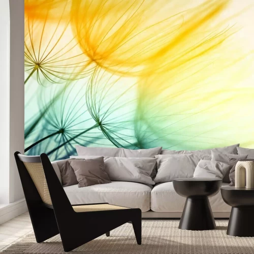 Fototapete Löwenzahn