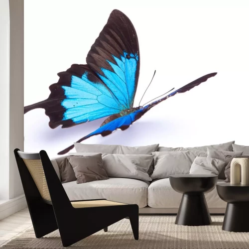 Sticker Schmetterling auf weißem Hintergrund