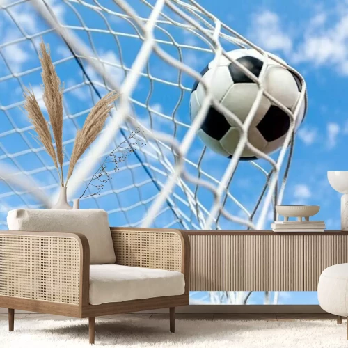 Fototapete Ball im Netz vor dem Hintergrund des Himmels