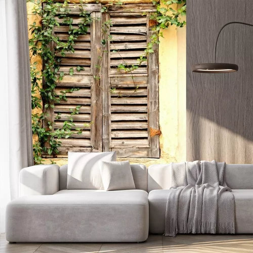 Fototapete Efeu auf einem alten Holzfensterladen