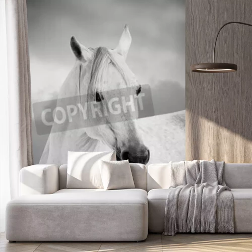 Fototapete Araber in grautönen