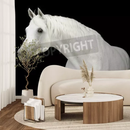 Fototapete Araber auf schwarzem hintergrund